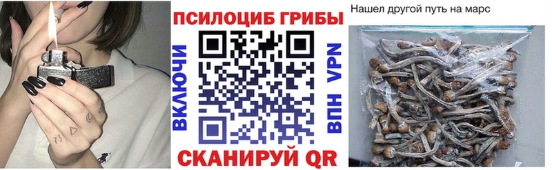 Псилоцибиновые грибы Cubensis  hydra рабочий сайт  Нижняя Салда 